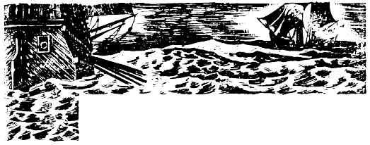 Иллюстрация к книге — Кораблекрушения [i_041.jpg]