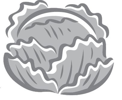 Иллюстрация к книге — Челюсти. Научное исследование о взаимосвязи между зубами, мозгом и кишечником + 40-дневный план питания, который поможет вернуть в норму здоровье ротовой полости и сформировать иммунитет к кариесу [i_004.jpg]