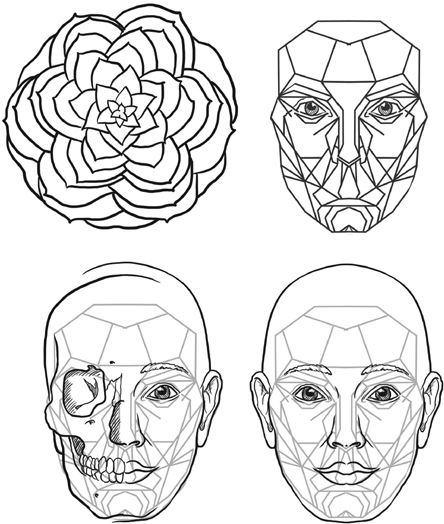 Иллюстрация к книге — Челюсти. Научное исследование о взаимосвязи между зубами, мозгом и кишечником + 40-дневный план питания, который поможет вернуть в норму здоровье ротовой полости и сформировать иммунитет к кариесу [i_013.jpg]