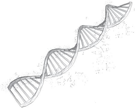 Иллюстрация к книге — Челюсти. Научное исследование о взаимосвязи между зубами, мозгом и кишечником + 40-дневный план питания, который поможет вернуть в норму здоровье ротовой полости и сформировать иммунитет к кариесу [i_026.jpg]