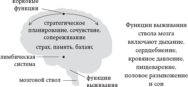 Иллюстрация к книге — One simple thing: почему йога работает? Новый взгляд на науку йоги [i_002.jpg]