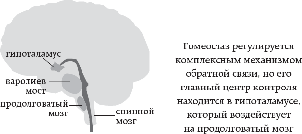 Иллюстрация к книге — One simple thing: почему йога работает? Новый взгляд на науку йоги [i_003.jpg]