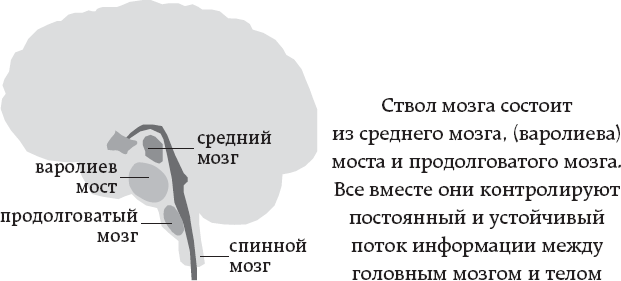 Иллюстрация к книге — One simple thing: почему йога работает? Новый взгляд на науку йоги [i_005.jpg]
