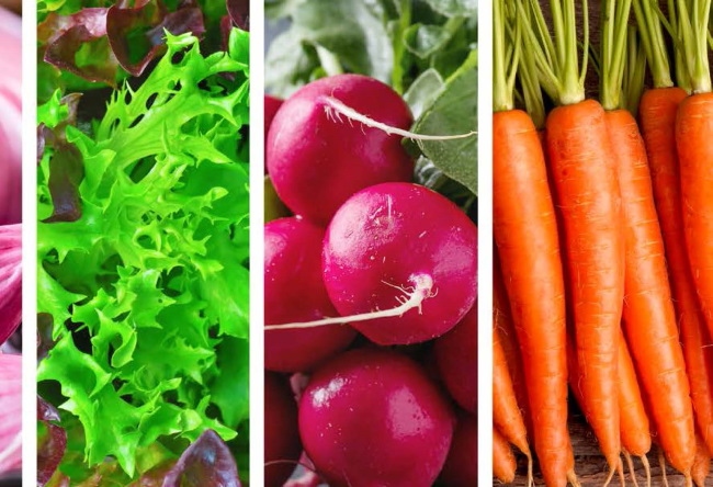 Иллюстрация к книге — Секрет щитовидки. Что скрывается за таинственными симптомами и болезнями щитовидной железы и как вернуть ей здоровье [i_018.jpg]