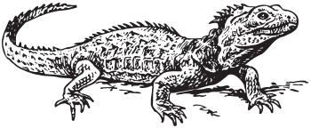 Иллюстрация к книге — Человеческие сети. Как социальное положение влияет на наши возможности, взгляды и поведение [i_021.jpg]