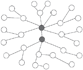 Иллюстрация к книге — Человеческие сети. Как социальное положение влияет на наши возможности, взгляды и поведение [i_077.jpg]
