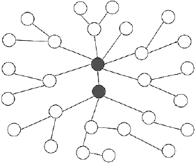 Иллюстрация к книге — Человеческие сети. Как социальное положение влияет на наши возможности, взгляды и поведение [i_078.jpg]