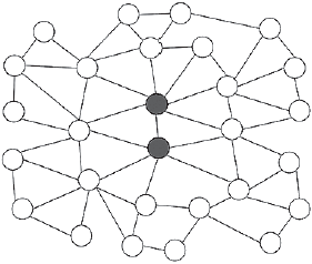 Иллюстрация к книге — Человеческие сети. Как социальное положение влияет на наши возможности, взгляды и поведение [i_080.jpg]
