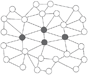 Иллюстрация к книге — Человеческие сети. Как социальное положение влияет на наши возможности, взгляды и поведение [i_081.jpg]