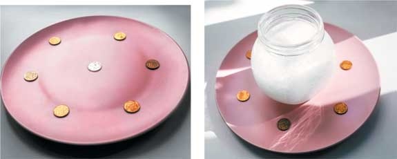 Иллюстрация к книге — Практическая хоумтерапия: как сделать дом своим [i_017.jpg]