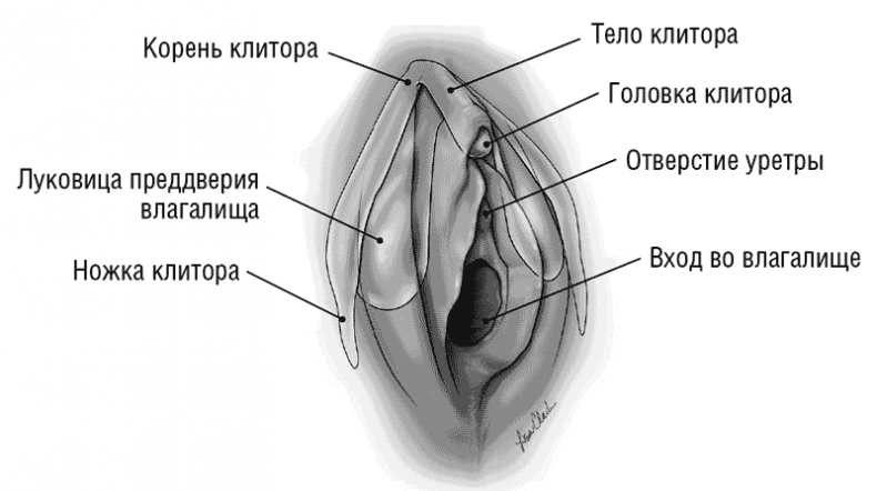 Пересильдтің жалаңаш суреті