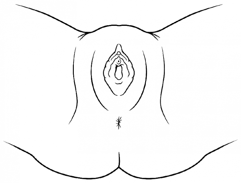 Иллюстрация к книге — The VAGINA BOOK. Главная книга для тех, у кого есть этот орган [i_014.jpg]