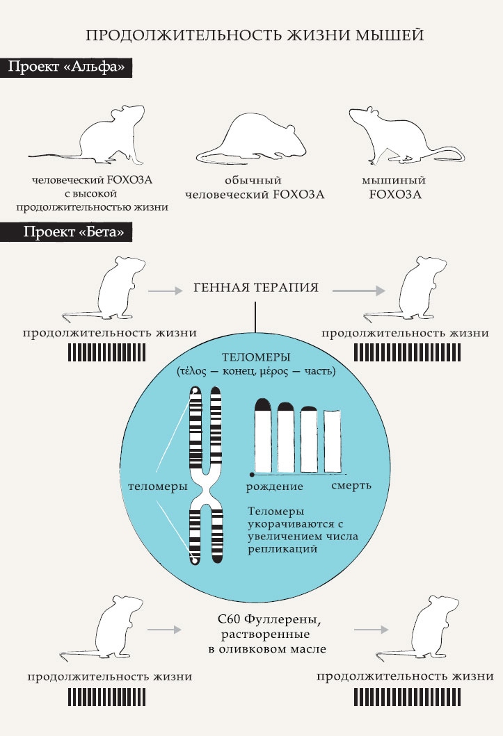 Иллюстрация к книге — Гарвардский Некромант [i_002.jpg]