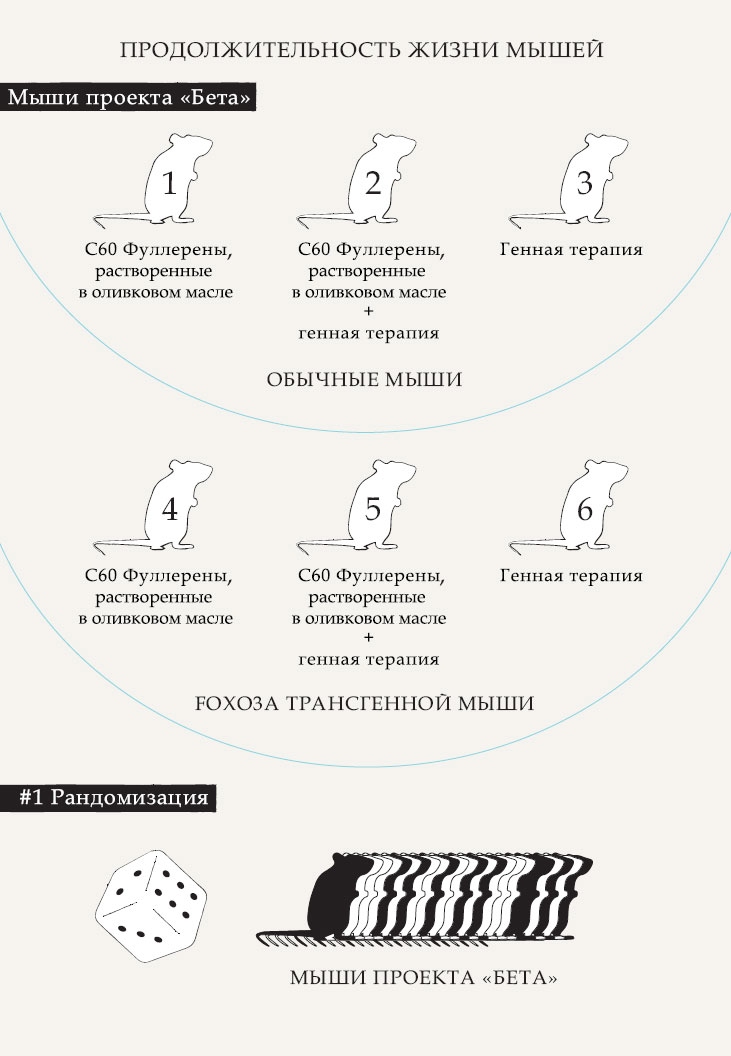 Иллюстрация к книге — Гарвардский Некромант [i_003.jpg]