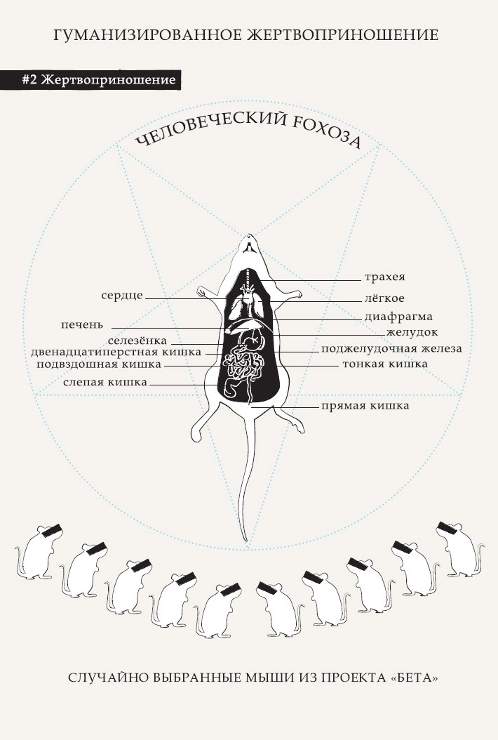 Иллюстрация к книге — Гарвардский Некромант [i_004.jpg]