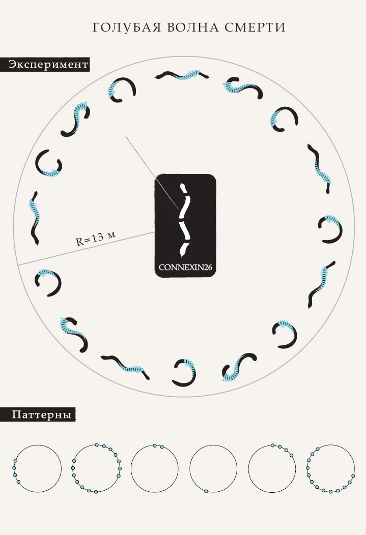 Иллюстрация к книге — Гарвардский Некромант [i_009.jpg]