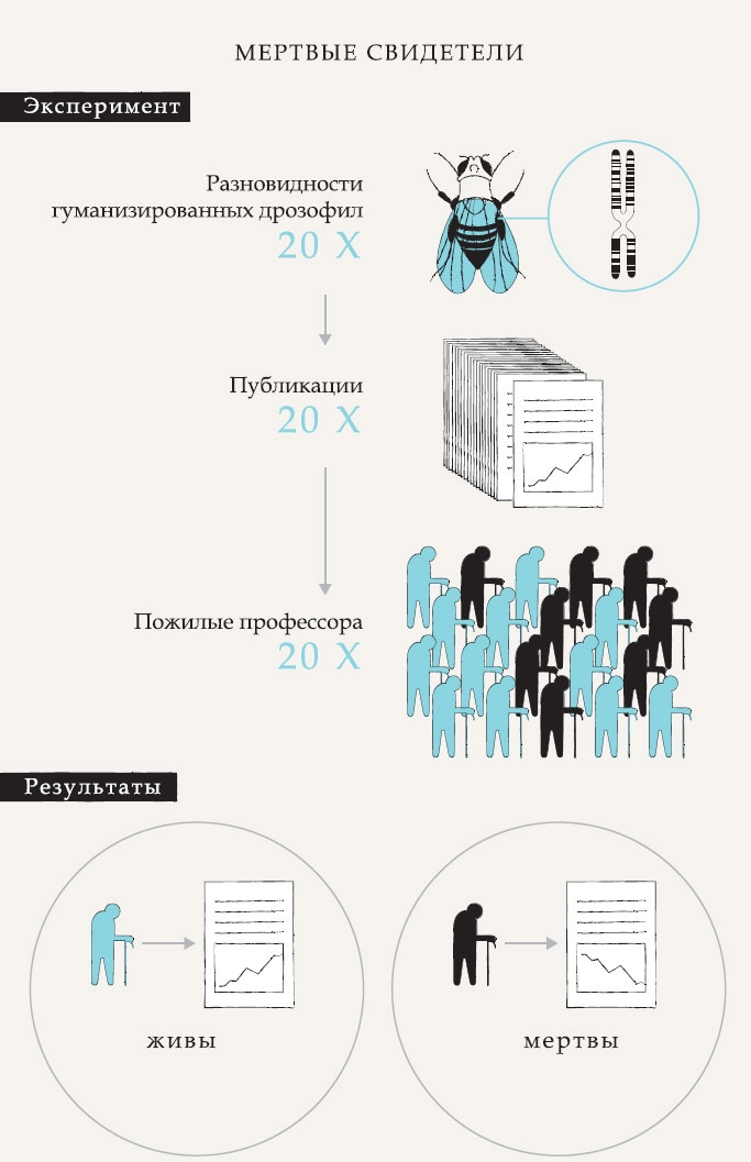 Иллюстрация к книге — Гарвардский Некромант [i_010.jpg]