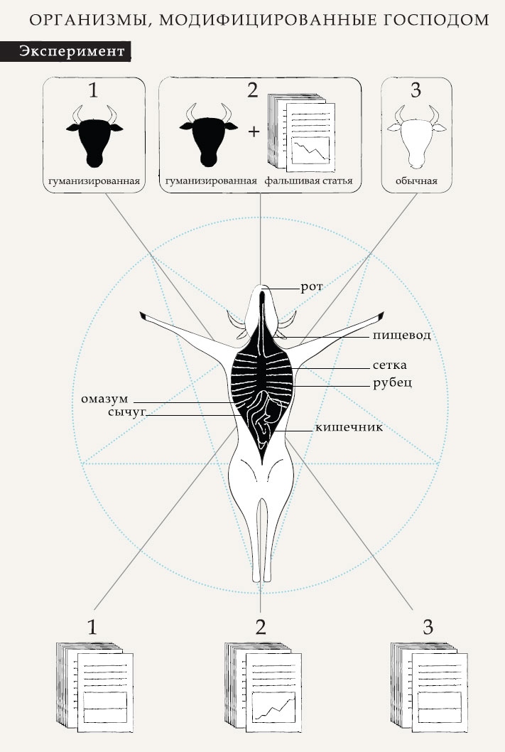 Иллюстрация к книге — Гарвардский Некромант [i_016.jpg]