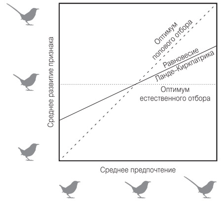 Иллюстрация к книге — Эволюция красоты. Как дарвиновская теория полового отбора объясняет животный мир – и нас самих [i_005.jpg]