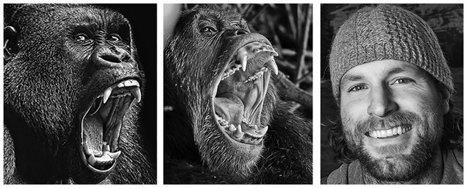 Иллюстрация к книге — Эволюция красоты. Как дарвиновская теория полового отбора объясняет животный мир – и нас самих [i_060.jpg]