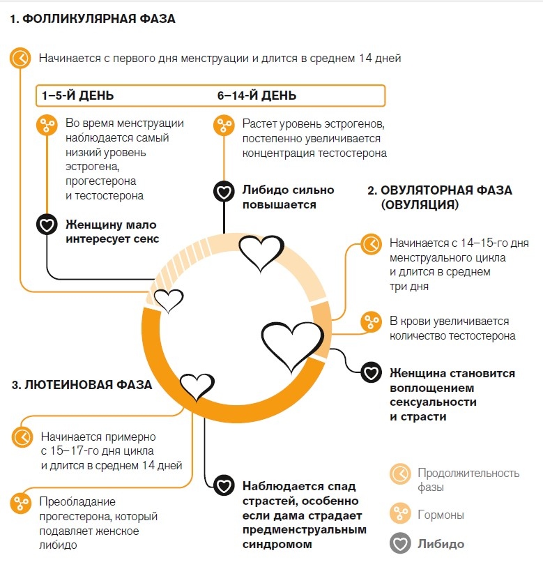 Иллюстрация к книге — Вся правда о гормонах. Секс, красота, здоровье, карьера [i_022.jpg]