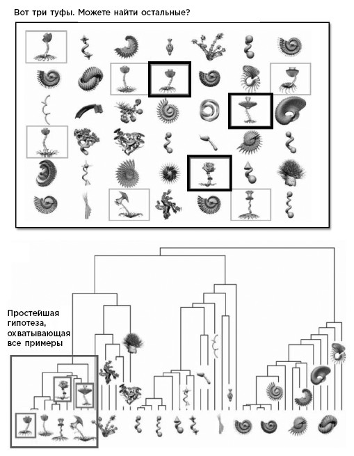 Иллюстрация к книге — Как мы учимся. Почему мозг учится лучше, чем любая машина… пока [i_003.jpg]