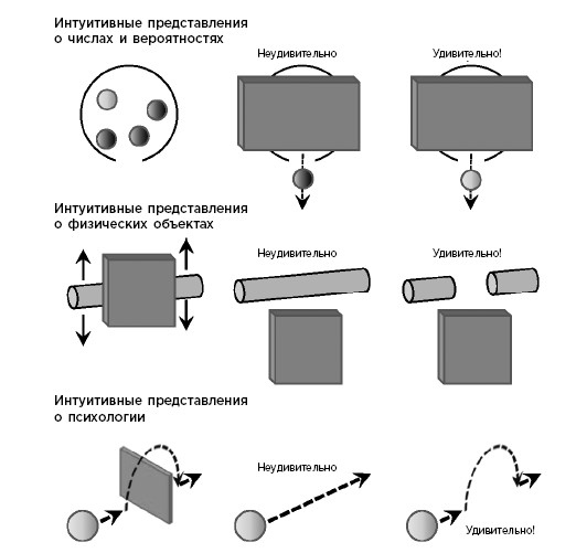 Иллюстрация к книге — Как мы учимся. Почему мозг учится лучше, чем любая машина… пока [i_004.jpg]
