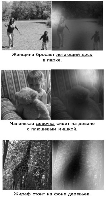 Иллюстрация к книге — Как мы учимся. Почему мозг учится лучше, чем любая машина… пока [i_012.jpg]