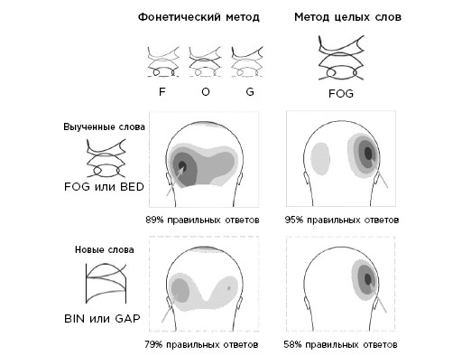 Иллюстрация к книге — Как мы учимся. Почему мозг учится лучше, чем любая машина… пока [i_013.jpg]