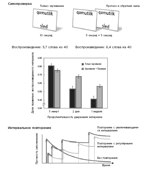 Иллюстрация к книге — Как мы учимся. Почему мозг учится лучше, чем любая машина… пока [i_021.jpg]
