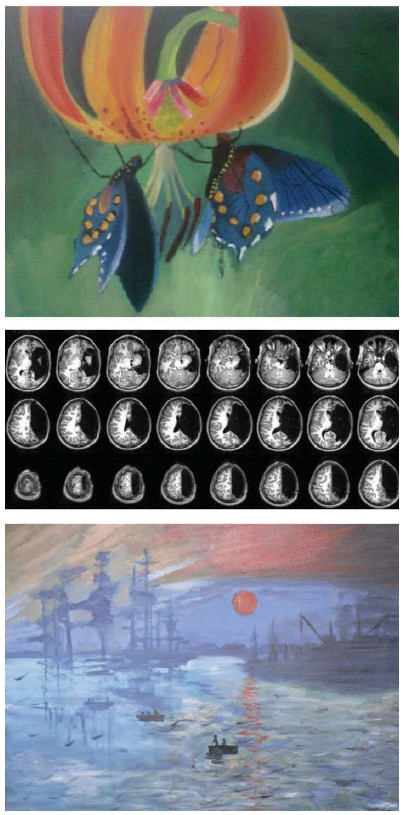 Иллюстрация к книге — Как мы учимся. Почему мозг учится лучше, чем любая машина… пока [i_022.jpg]