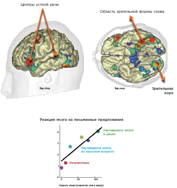 Иллюстрация к книге — Как мы учимся. Почему мозг учится лучше, чем любая машина… пока [i_035.jpg]