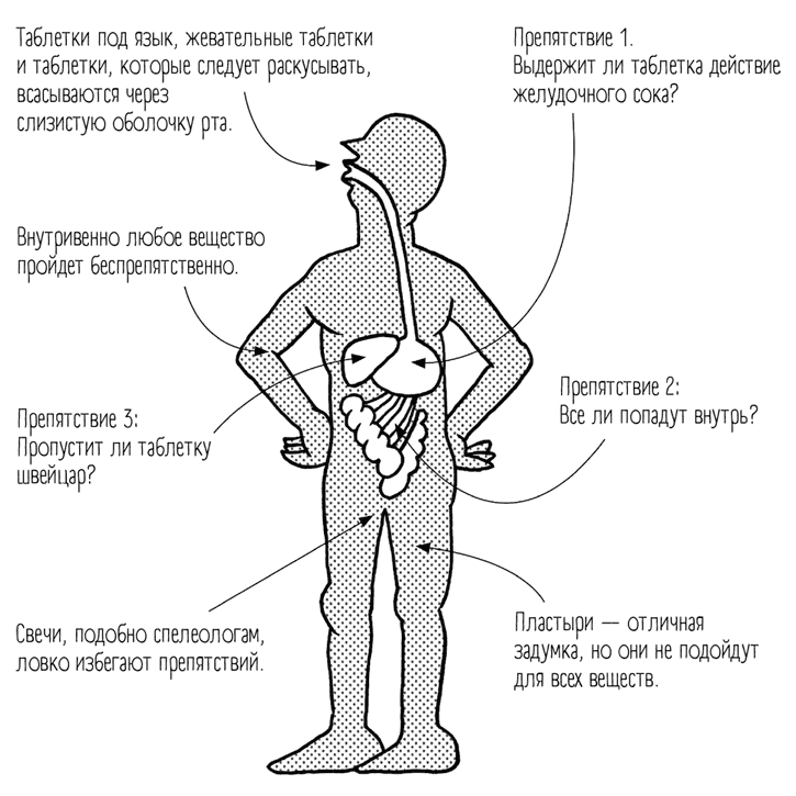 Иллюстрация к книге — Чем запить таблетку? Фармацевт о том, почему нельзя делить таблетки на части, хранить их на кухне и запивать всем подряд [i_010.jpg]