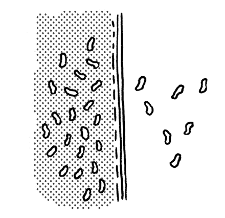 Иллюстрация к книге — Чем запить таблетку? Фармацевт о том, почему нельзя делить таблетки на части, хранить их на кухне и запивать всем подряд [i_012.jpg]