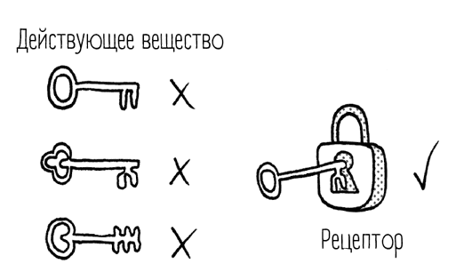 Иллюстрация к книге — Чем запить таблетку? Фармацевт о том, почему нельзя делить таблетки на части, хранить их на кухне и запивать всем подряд [i_015.jpg]