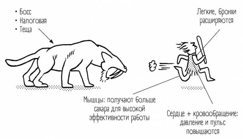 Иллюстрация к книге — Чем запить таблетку? Фармацевт о том, почему нельзя делить таблетки на части, хранить их на кухне и запивать всем подряд [i_016.jpg]