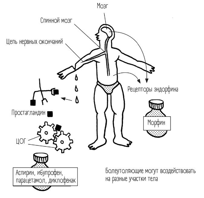 Иллюстрация к книге — Чем запить таблетку? Фармацевт о том, почему нельзя делить таблетки на части, хранить их на кухне и запивать всем подряд [i_017.jpg]