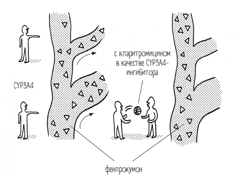 Иллюстрация к книге — Чем запить таблетку? Фармацевт о том, почему нельзя делить таблетки на части, хранить их на кухне и запивать всем подряд [i_035.jpg]