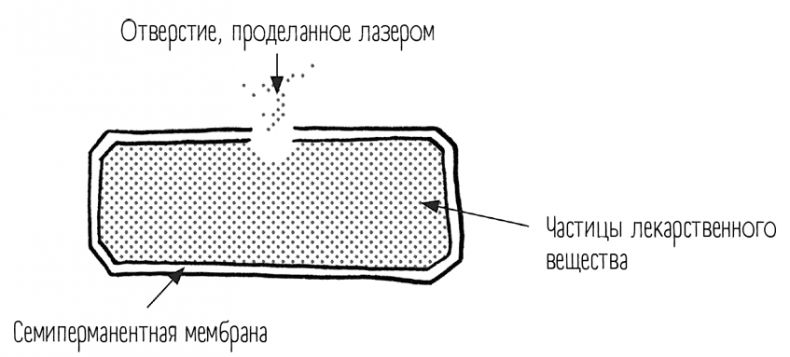 Иллюстрация к книге — Чем запить таблетку? Фармацевт о том, почему нельзя делить таблетки на части, хранить их на кухне и запивать всем подряд [i_040.jpg]