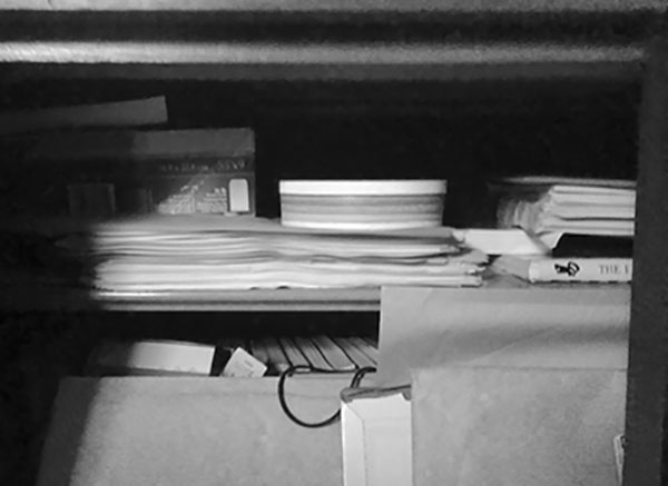 Иллюстрация к книге — Материнство [i_002.jpg]