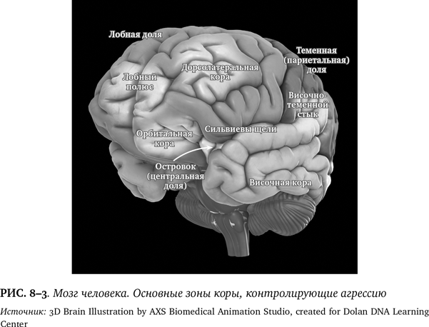 Иллюстрация к книге — Лучшее в нас. Почему насилия в мире стало меньше [i_105.jpg]