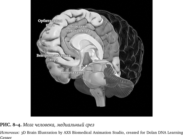 Иллюстрация к книге — Лучшее в нас. Почему насилия в мире стало меньше [i_106.jpg]