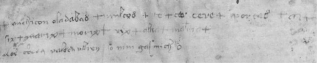 Иллюстрация к книге — Манускрипт Войнича [i_012.jpg]