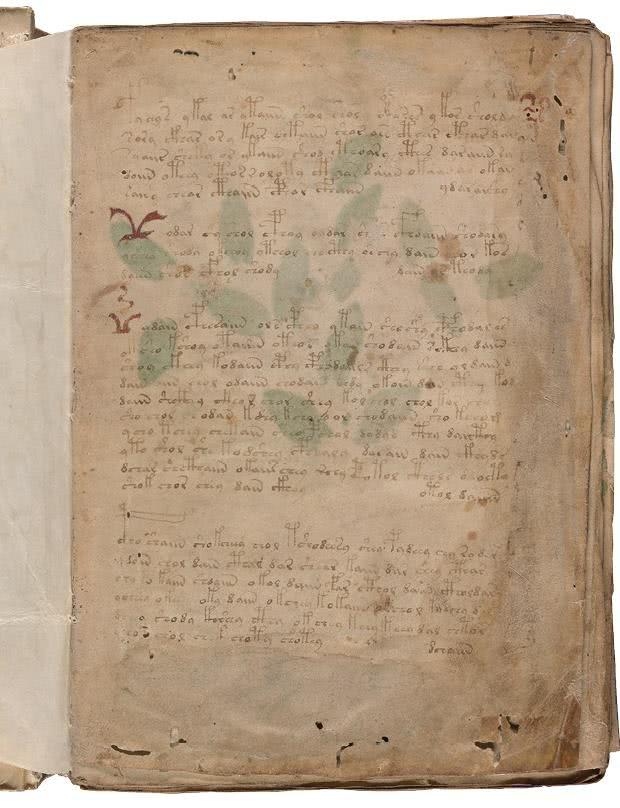 Иллюстрация к книге — Манускрипт Войнича [i_046.jpg]