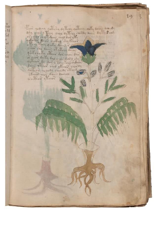 Иллюстрация к книге — Манускрипт Войнича [i_076.jpg]