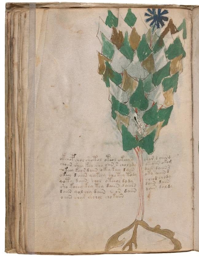 Иллюстрация к книге — Манускрипт Войнича [i_107.jpg]