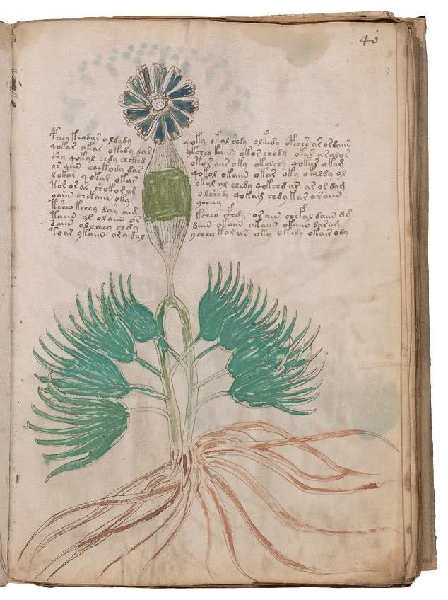 Иллюстрация к книге — Манускрипт Войнича [i_110.jpg]