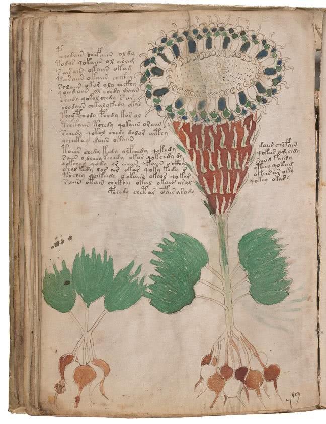 Иллюстрация к книге — Манускрипт Войнича [i_111.jpg]