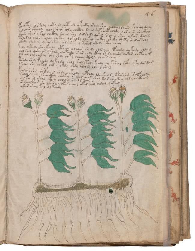 Иллюстрация к книге — Манускрипт Войнича [i_120.jpg]