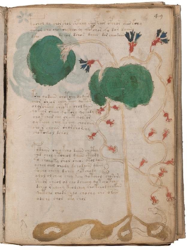 Иллюстрация к книге — Манускрипт Войнича [i_124.jpg]